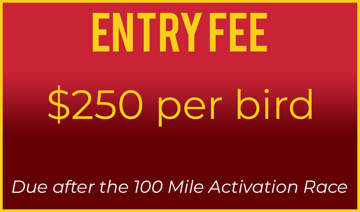 entry fee